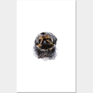 Pekingese Puppy Dog - Adorable! Posters and Art